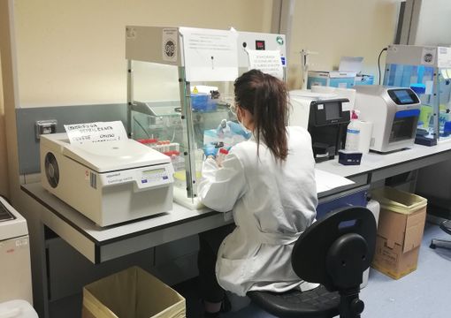 All'ospedale di Varese due stanze BSL3 per studiare e caratterizzare il virus All'ospedale di Varese due stanze BSL3 per studiare e caratterizzare il virus