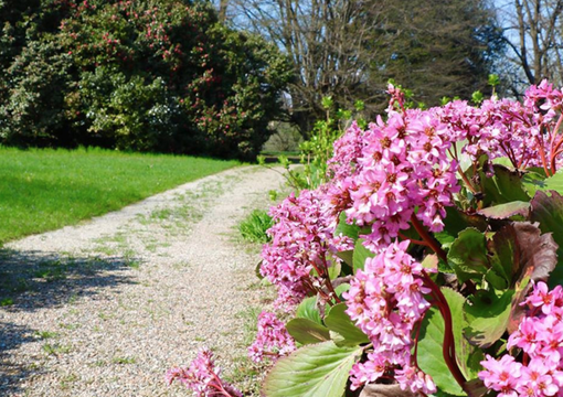 Nature Urbane, alle 14 aprono le prenotazioni sul sito e in piazza Monte Grappa