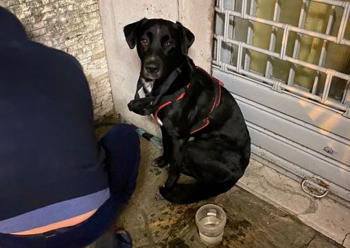 Piero, abbandonato a Natale nell’androne di un condominio con la sua valigia