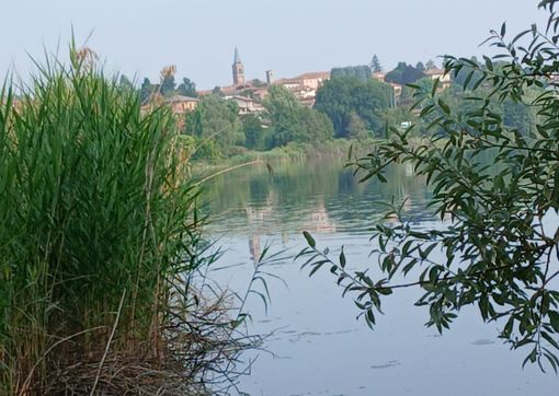 Uno scorcio del lago di Comabbio