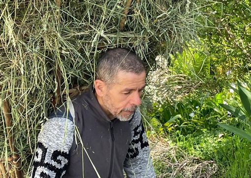 Giuseppe Reggiori al lavoro mentre trasporta fieno nel suo gerlo record Giuseppe Reggiori al lavoro mentre trasporta fieno nel suo gerlo record