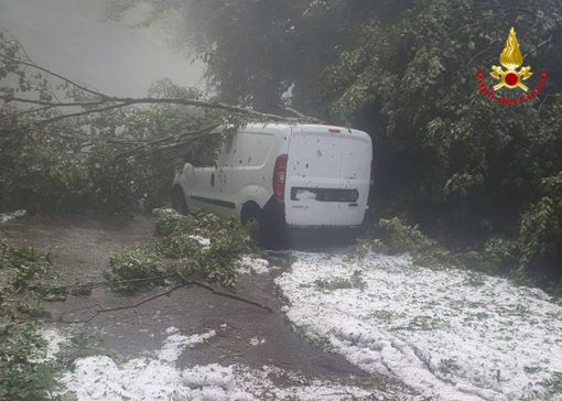 Grandine e raffiche anche nell'alto Varesotto: a Grantola furgone colpito da un albero Grandine e raffiche anche nell'alto Varesotto: a Grantola furgone colpito da un albero