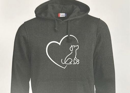 La felpa della solidarietà dei commercianti di Besozzo: per adottare Aya un cane da donare a Giulio, un ragazzo speciale del paese