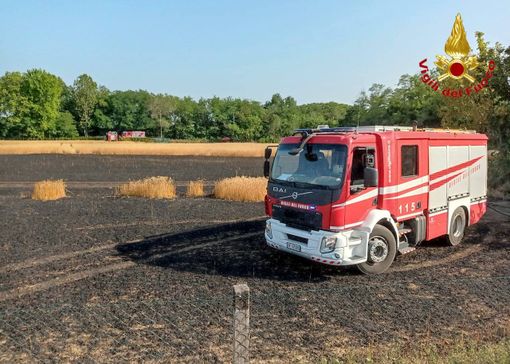 In fiamme un campo di grano a Busto: nessun ferito In fiamme un campo di grano a Busto: nessun ferito