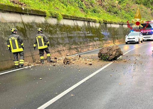 FOTO. Massi si staccano dal versante e precipitano sulla statale a Varese in viale Borri: disagi al traffico FOTO. Massi si staccano dal versante e precipitano sulla statale a Varese in viale Borri: disagi al traffico