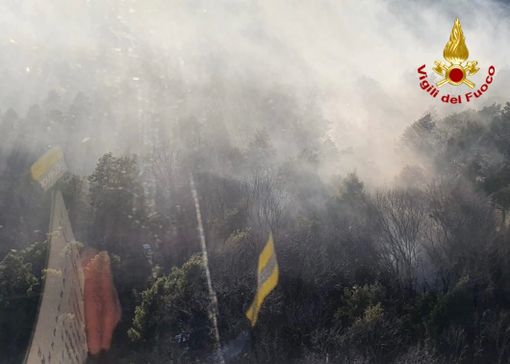 VIDEO e FOTO In fiamme i boschi tra Vergiate, Sesona, Golasecca e Sesto Calende