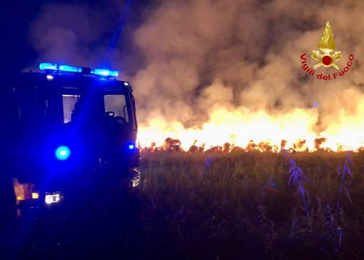 Maxi incendio a Caronno Pertusella: cento rotoballe di fieno in fiamme. Vigili del fuoco a protezione di case e ferrovia Maxi incendio a Caronno Pertusella: cento rotoballe di fieno in fiamme. Vigili del fuoco a protezione di case e ferrovia