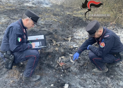 Incendi nei boschi di Induno Olona e Ispra, i carabinieri Forestali individuano i presunti responsabili Incendi nei boschi di Induno Olona e Ispra, i carabinieri Forestali individuano i presunti responsabili