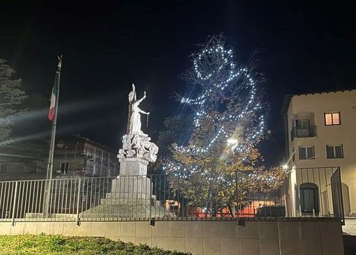L'albero di Natale di Castronno in una foto dalla pagna Facebook del sindaco Gabri L'albero di Natale di Castronno in una foto dalla pagna Facebook del sindaco Gabri