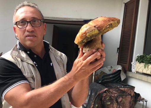 LA FOTO. Un super porcino di un chilo e duecento grammi. Colpo grosso di un fungiatt di Cazzago Brabbia alla Forcora LA FOTO. Un super porcino di un chilo e duecento grammi. Colpo grosso di un fungiatt di Cazzago Brabbia alla Forcora
