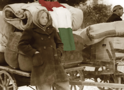 Commemorazione dell'esodo istriano e delle foibe a cura della Croce Rossa di Busto