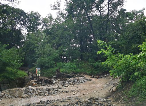 I danni provocati dal maltempo a Luvinate il 12 luglio I danni provocati dal maltempo a Luvinate il 12 luglio