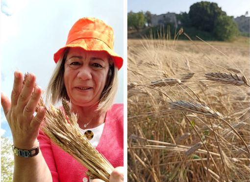 Maria Rosaria Genio con il suo grano