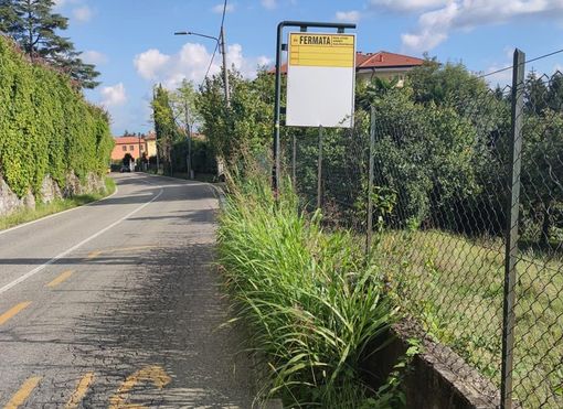 Giungla urbana in via Campigli. E sparisce la fermata dell'autobus