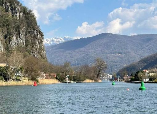 Le boe posate sul lago Ceresio nello stretto di Lavena