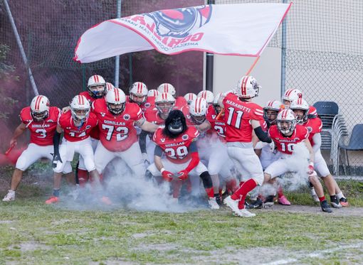 Gorillas, dopo la sconfitta è già ora del riscatto Gorillas, dopo la sconfitta è già ora del riscatto