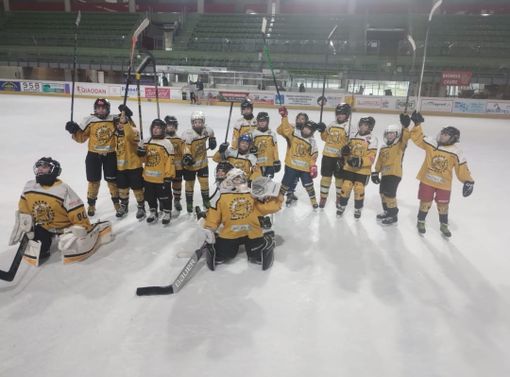 Il momento più bello per i piccoli grandi Mastini che crescono: il Torneo Città di Varese e il Memorial Marco Fiori