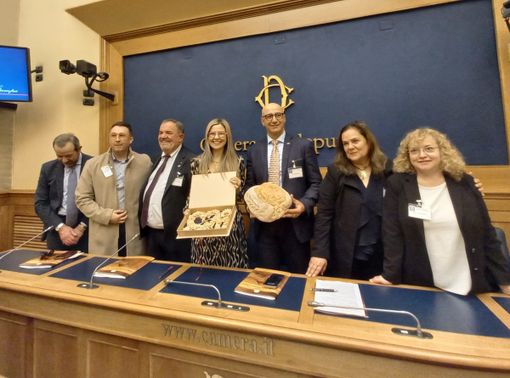 Agroalimentare, Gadda (Iv): «Necessarie regole per crescere»