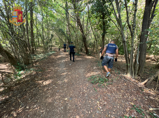Parco Pineta e Valcuvia, ancora blitz nei boschi della droga: smantellati bivacchi e identificate 150 persone