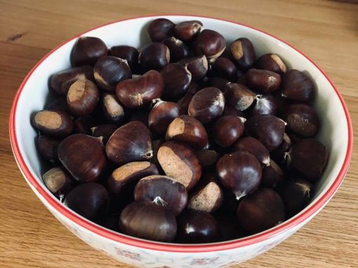 La foto postata dal sindaco Galimberti con il suo "bottino" domenicale La foto postata dal sindaco Galimberti con il suo "bottino" domenicale