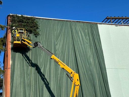 Nelle foto sotto, l’inizio dei lavori della “parete verde” di Cinelandia Gallarate Nelle foto sotto, l’inizio dei lavori della “parete verde” di Cinelandia Gallarate