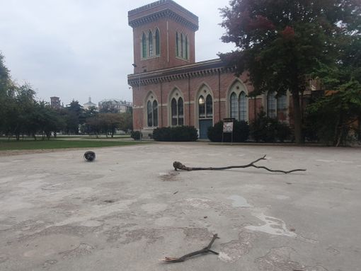 Museo del Tessile, pianta e cestino gettati in mezzo alla pista per lo skate Museo del Tessile, pianta e cestino gettati in mezzo alla pista per lo skate