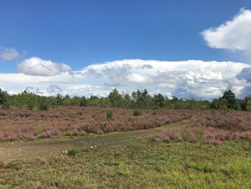 Masterplan Malpensa e Ospedale unico: la segreteria Pd convoca i circoli provinciali Masterplan Malpensa e Ospedale unico: la segreteria Pd convoca i circoli provinciali