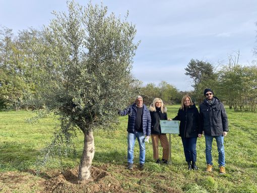 “Le radici nel domani”: cinque alberi al Parco De Curtis per celebrare i nuovi nati di Busto “Le radici nel domani”: cinque alberi al Parco De Curtis per celebrare i nuovi nati di Busto