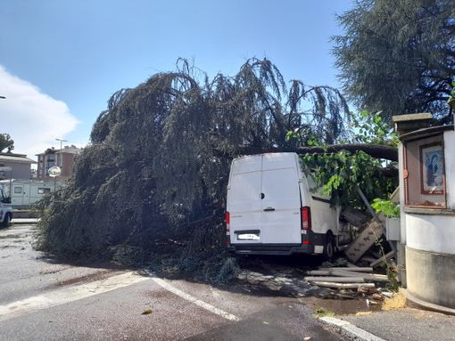FOTO. Tempesta su Gallarate: sottopassi allagati e alberi a terra FOTO. Tempesta su Gallarate: sottopassi allagati e alberi a terra