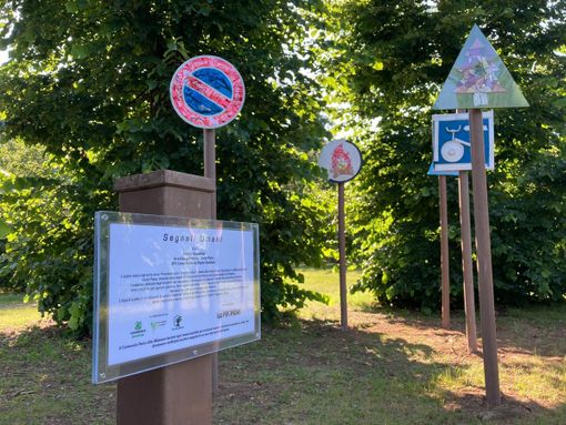 Sicurezza al Parco Alto Milanese: Busto implementa la videosorveglianza