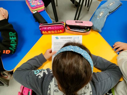 “I reporter della sostenibilità” by AstroNatura: si parte! “I reporter della sostenibilità” by AstroNatura: si parte!