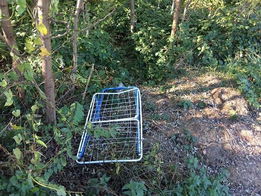 LA LETTERA. Uno stenditoio nei boschi di Cuvio: era più semplice portarlo in discarica