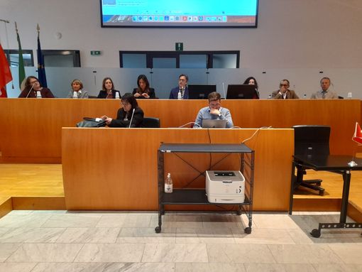 Progetto "Includi", punto della situazione in sala consiliare, a palazzo Broletto, Gallarate Progetto "Includi", punto della situazione in sala consiliare, a palazzo Broletto, Gallarate