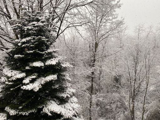 Varese si risveglia sotto la neve di marzo: colpo di coda dell'inverno a pochi giorni dalla primavera