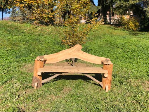 Festa dell'albero nei quartieri: dal tronco del Piantone nasce una panchina