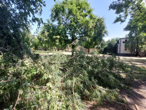 FOTO. A Marnate alberi e pali abbattuti dal maltempo. Allagata via Lazzaretto, problemi al cimitero