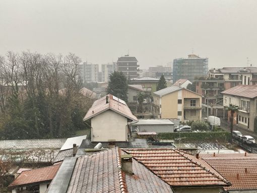 La neve imbianca tetti e giardini (parco di viale Stelvio, Busto ore 11)