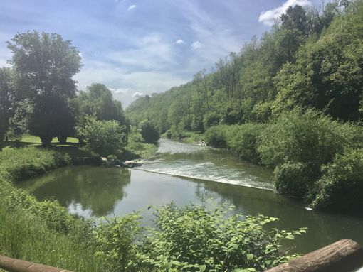 Pedalando sull'Olona: «Diamo importanza al valore dell'acqua» Pedalando sull'Olona: «Diamo importanza al valore dell'acqua»