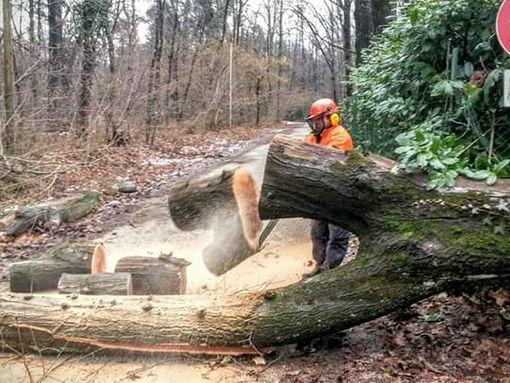 A Somma Lombardo la Giornata della Sicurezza e della Prevenzione