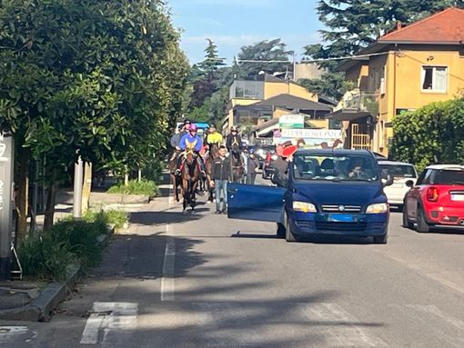 La sfilata di protesta con i cavalli per le vie di Varese