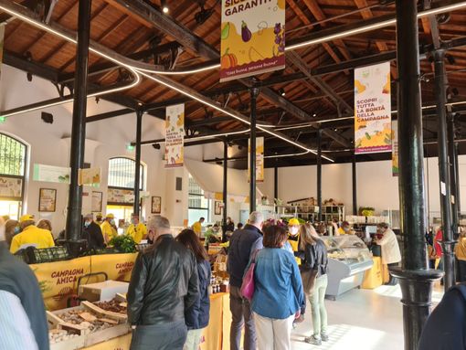 Una pianta in regalo per tutte le mamme ai Mercati di Campagna Amica di Varese Una pianta in regalo per tutte le mamme ai Mercati di Campagna Amica di Varese