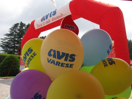 (foto generica dal web)