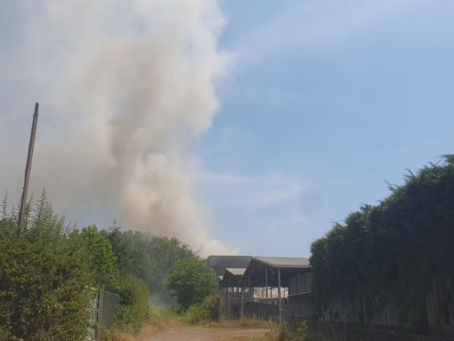 VIDEO. Incendio nell'area di Neutalia a Busto VIDEO. Incendio nell'area di Neutalia a Busto