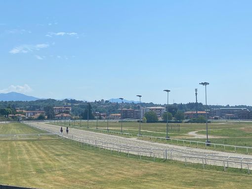 Cavalli in pista alle Bettole