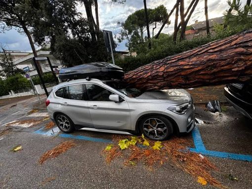 Un'auto colpita da un tronco a Milano Marittina (foto dalla pagina Facebook Emilia Romagna Meteo) Un'auto colpita da un tronco a Milano Marittina (foto dalla pagina Facebook Emilia Romagna Meteo)