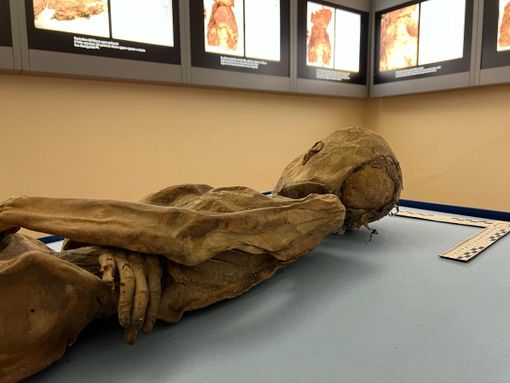 La mummia del bambino di Villa Mirabello