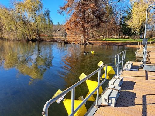 Per proteggere l'Isolino Virginia arrivano le boe Per proteggere l'Isolino Virginia arrivano le boe