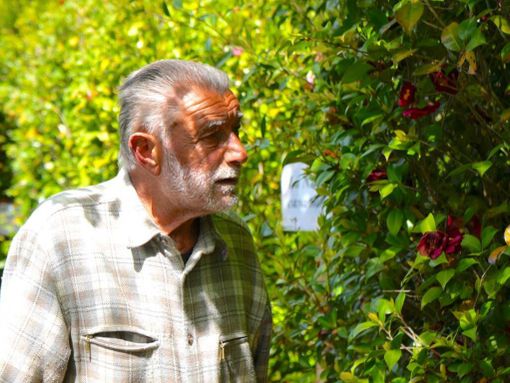 Il cavalier Enrico "Chicco" Gasparini nel suo labirinto delle camelie a Laveno