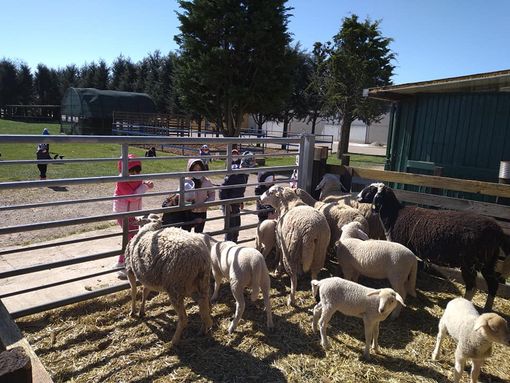 Pasqua negli agriturismi varesini: prenotazioni da record tra laghi e valli