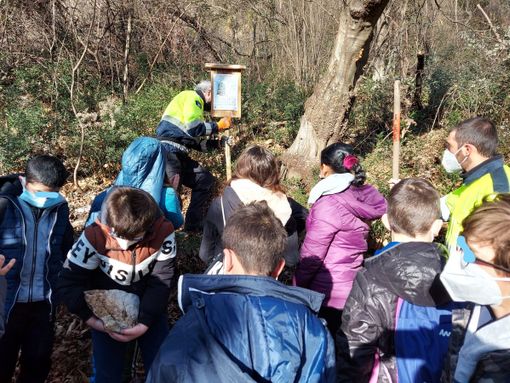 FOTO. I bambini delle elementari di Caravate inaugurano il bosco didattico "Pancott" FOTO. I bambini delle elementari di Caravate inaugurano il bosco didattico "Pancott"